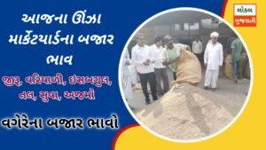 Unjha market price today | ઊંઝા માર્કેટ યાર્ડ…