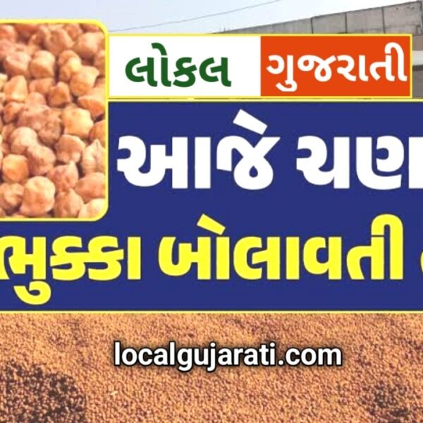 ચણા ના ભાવ માં ભુક્કા બોલાવતી તેજી :…