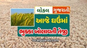 ઘઉંના ભાવ દરરોજ વધી રહ્યા છે | ઘઉંના…