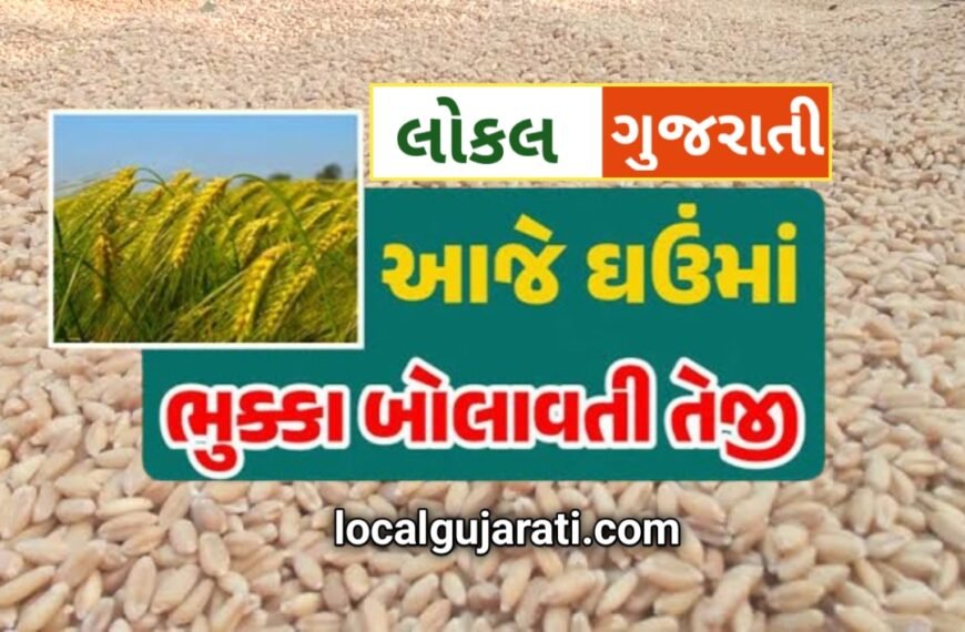 ઘઉંના ભાવ દરરોજ વધી રહ્યા છે | ઘઉંના…