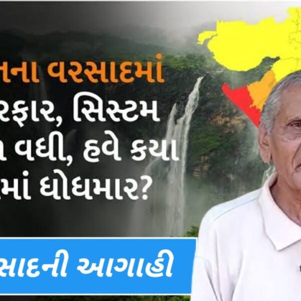 ગુજરાતમાં મુશળધાર વરસાદની આગાહી, અનેક વિસ્તારોમાં પૂરનો ભય