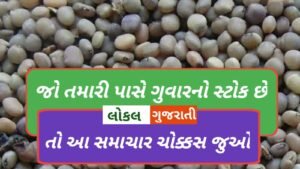 જો તમારી પાસે ગુવારનો સ્ટોક છે તો આ…