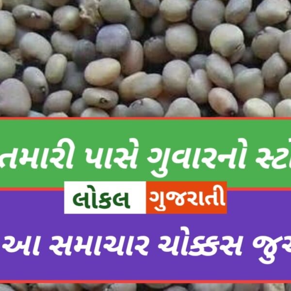 જો તમારી પાસે ગુવારનો સ્ટોક છે તો આ…