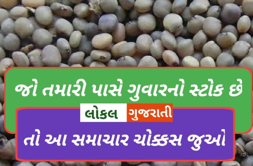 જો તમારી પાસે ગુવારનો સ્ટોક…