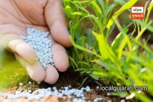 Fertilizer Licence: 15 દિવસની તાલીમ લીધા પછી ખાતરની…