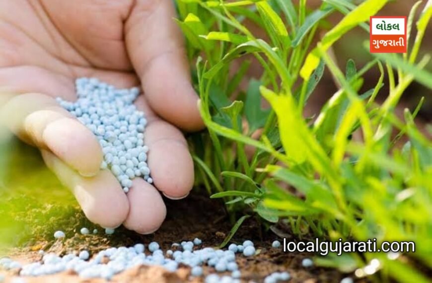 Fertilizer Licence: 15 દિવસની તાલીમ લીધા પછી ખાતરની…