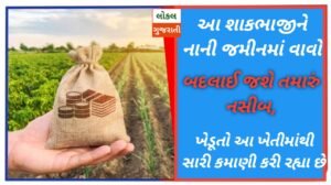 આ શાકભાજીને નાની જમીનમાં વાવો, બદલાઈ જશે તમારું…