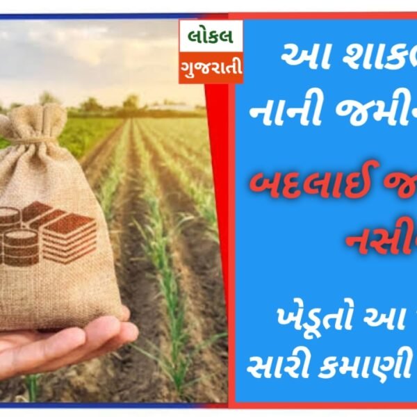 આ શાકભાજીને નાની જમીનમાં વાવો, બદલાઈ જશે તમારું…