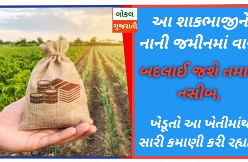 આ શાકભાજીને નાની જમીનમાં વાવો, બદલાઈ જશે તમારું નસીબ, ખેડૂતો આ ખેતીમાંથી સારી કમાણી કરી રહ્યા છે.