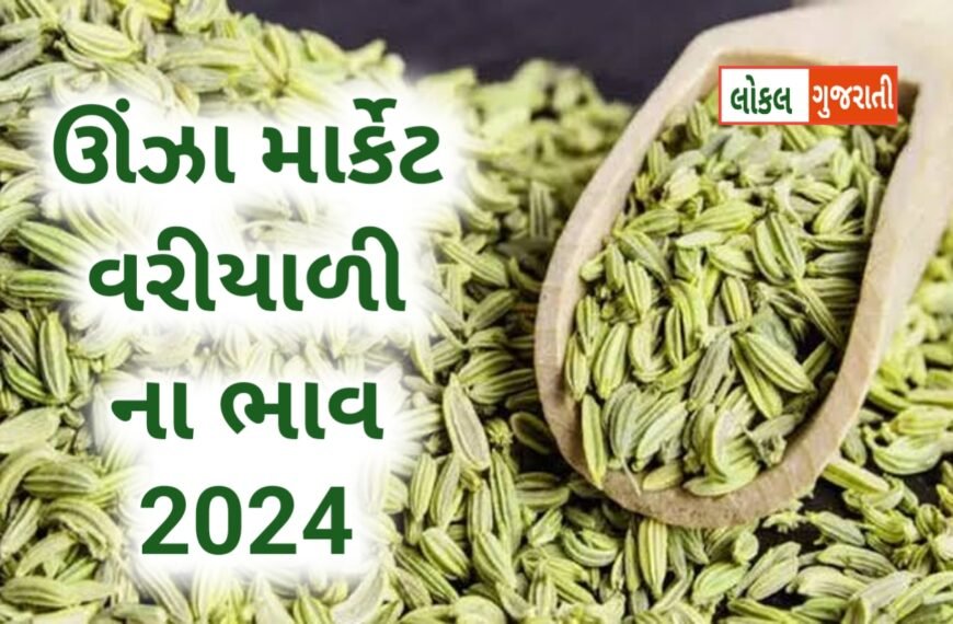 ઊંઝા માર્કેટ વરીયાળી ના ભાવ 2024
