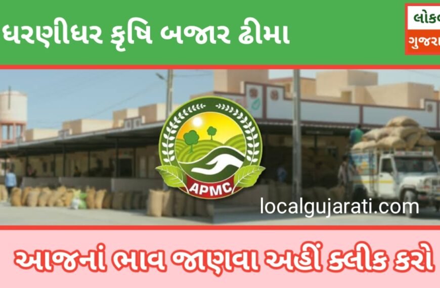 ઢીમા માર્કેટયાર્ડ આજના ભાવ | DHIMA MARKET YARD…