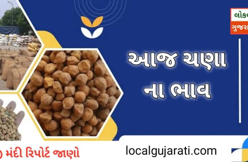 ચણાના ભાવમાં આગામી દિવસોમાં તેજી…