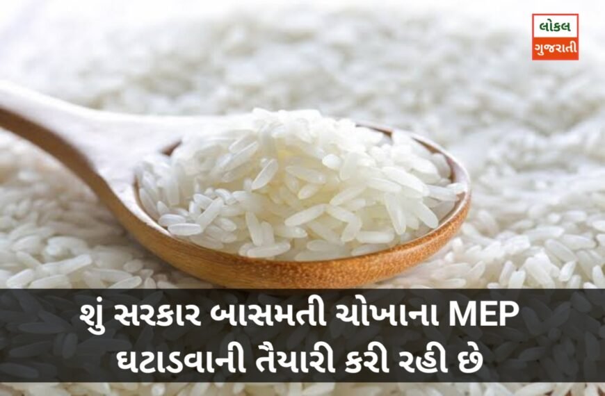 શું સરકાર બાસમતી ચોખાના MEP ઘટાડવાની તૈયારી કરી રહી છે, જાણો શું છે રાઇસ મિલરોની માંગ