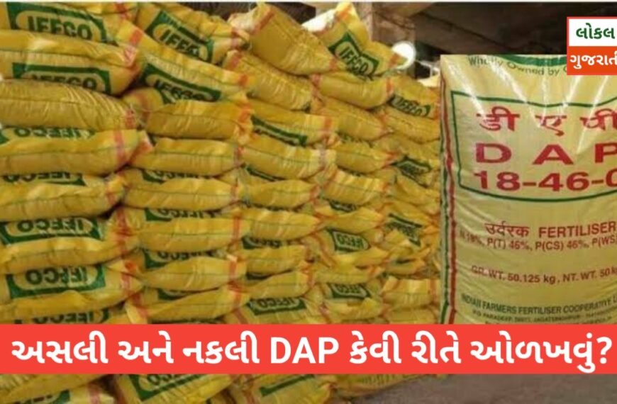 જો તમે DAP ખરીદવા જઈ…