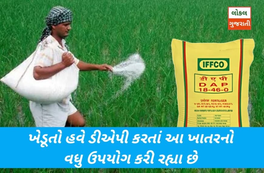ખેડૂતો હવે ડીએપી કરતાં આ ખાતરનો વધુ ઉપયોગ કરી રહ્યા છે