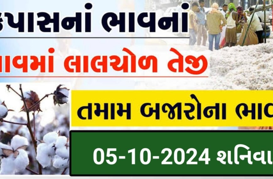 Cotton Bhav: કપાસના ભાવમાં વધારો, આવકો સતત વધી રહી છે