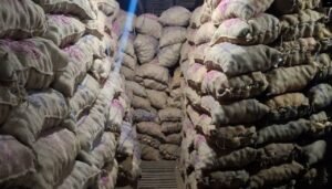 Deesa Potato Cold storage contact number and price
