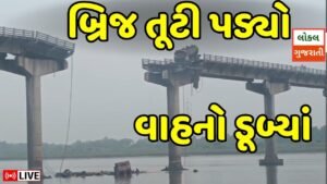 બ્રિજ દુર્ઘટનાનો આ વીડિયો તમને હલાવી દેશે બ્રિજ…