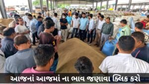 બજારના તાજા અપડેટ્સ! આજરોજ, અજમાની બજાર સ્થિતી છેલ્લા…