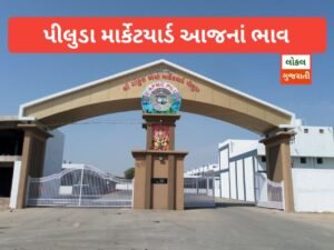 piluda market yard | આજના ભાવ પીલુડા માર્કેટ…