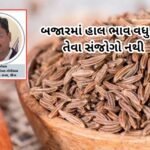 જીરૂના ભાવ ₹3600થી ₹4000ની વચ્ચે સ્થિર, નિકાસની માંગ નબળી : અજય ગોયલ