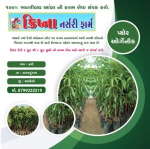 ક્રિષ્ના નર્સરી: ઉચ્ચ ગુણવત્તાવાળી ફળદ્રુપ કલમોની ભરોસાપાત્ર જગ્યા