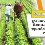 ગુજરાતમાં ખરીફ વાવેતરનો વિક્રમ: 66 લાખ હેક્ટરથી વધુમાં વાવેતર, મગફળી અને કપાસ