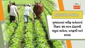 ગુજરાતમાં ખરીફ વાવેતરનો વિક્રમ: 66 લાખ હેક્ટરથી વધુમાં વાવેતર, મગફળી અને કપાસ