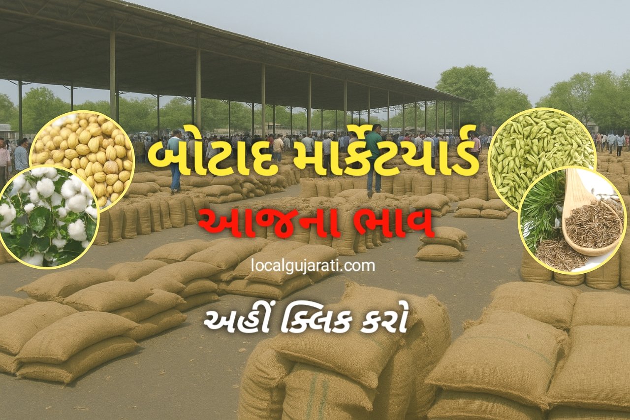 બોટાદ આજના બજાર ભાવ દૈનિક ભાવ…
