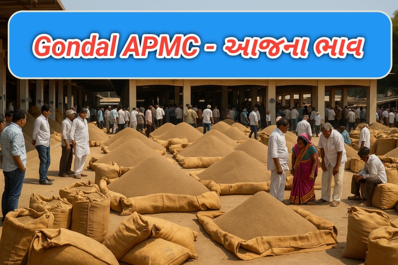 Gondal APMC | દૈનિક ભાવ…