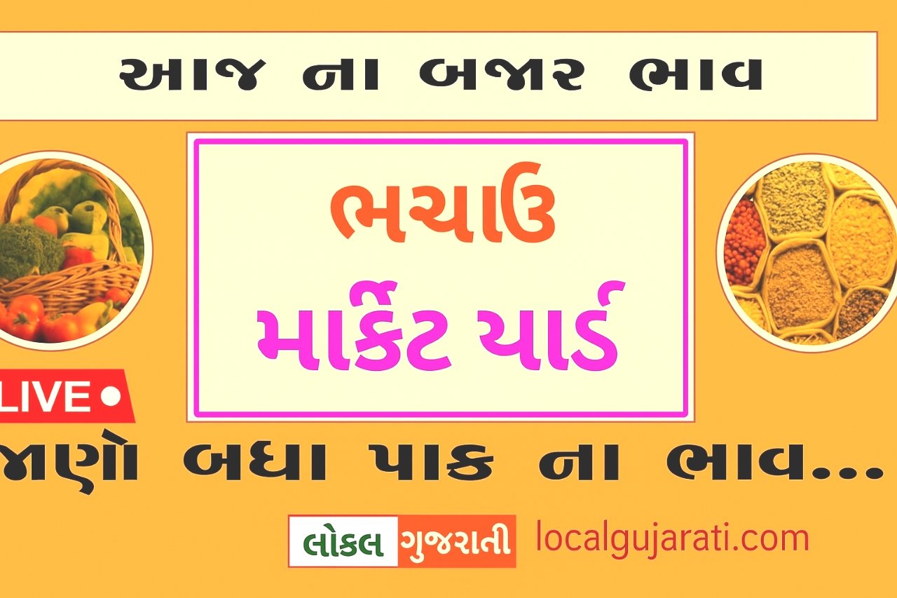 APMC Bhachau Market Rates Today | ભચાઉ માર્કેટ યાર્ડ આજે ના ભાવ