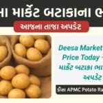 ડીસા માર્કેટ બટાકાના ભાવ 2025 – આજના તાજા Deesa APMC Potato Rate & Market Price અપડેટ
