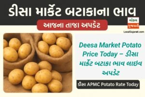 ડીસા માર્કેટ બટાકાના ભાવ 2025 – આજના તાજા…