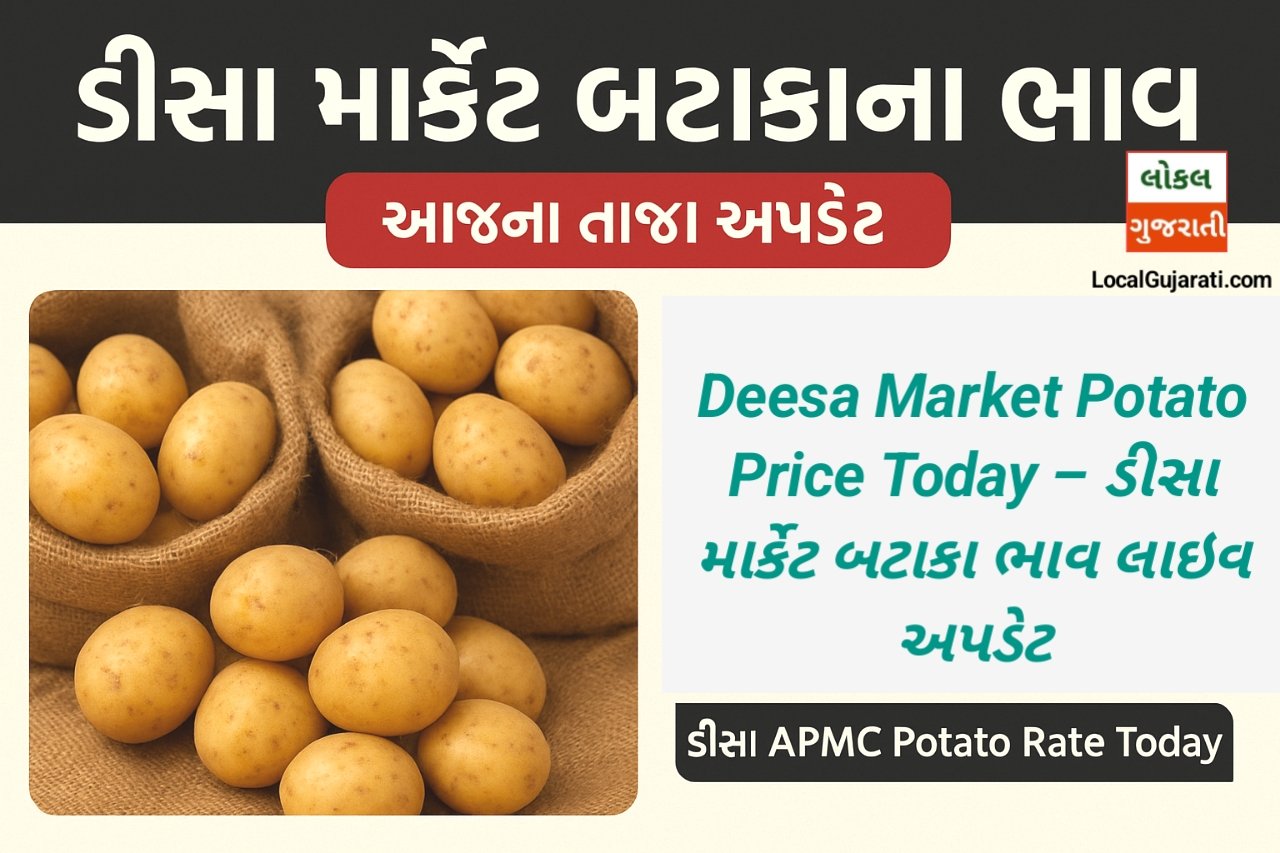ડીસા માર્કેટ બટાકાના ભાવ 2025 – આજના તાજા Deesa APMC Potato Rate & Market Price અપડેટ