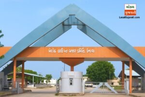 ઉનાવા માર્કેટયાર્ડ આજના ભાવ | UNAVA MARKET YARD…