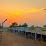 રાપર માર્કેટ યાર્ડમાં આજે ખેતીવાડી માલના તાજા ભાવ APMC RAPAR | RAPAR MARKET YARD PRICE TODAY