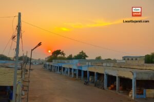 રાપર માર્કેટ યાર્ડમાં આજે ખેતીવાડી માલના તાજા ભાવ…